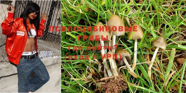 метадон Балабаново
