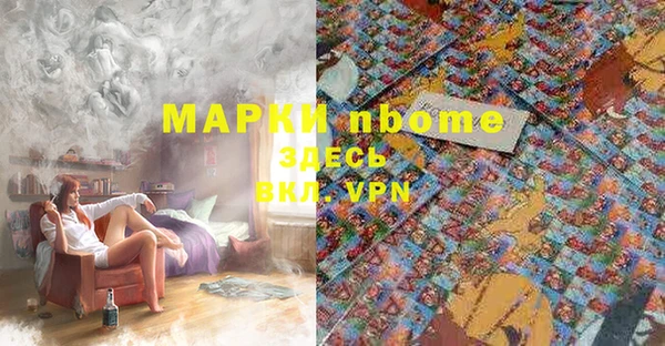 гашик Балахна