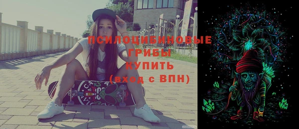 гашик Балахна