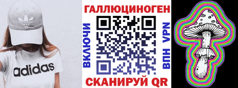 Псилоцибиновые грибы Psilocybe  Лесной 