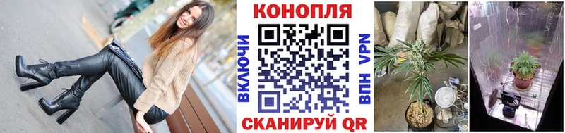 kraken ссылки  Лесной  Бошки марихуана конопля 